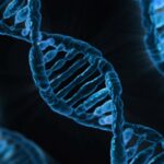 Can Python Unlock the Secrets of DNA? Building a Bioinformatics AI Agent with Biopython