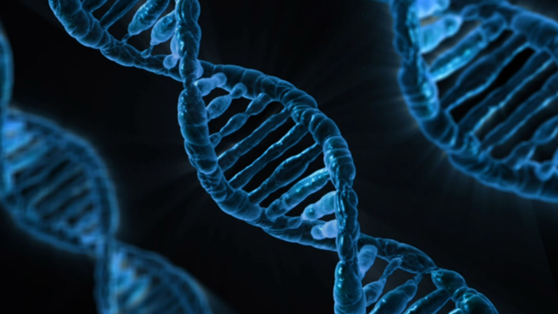 Can Python Unlock the Secrets of DNA? Building a Bioinformatics AI Agent with Biopython